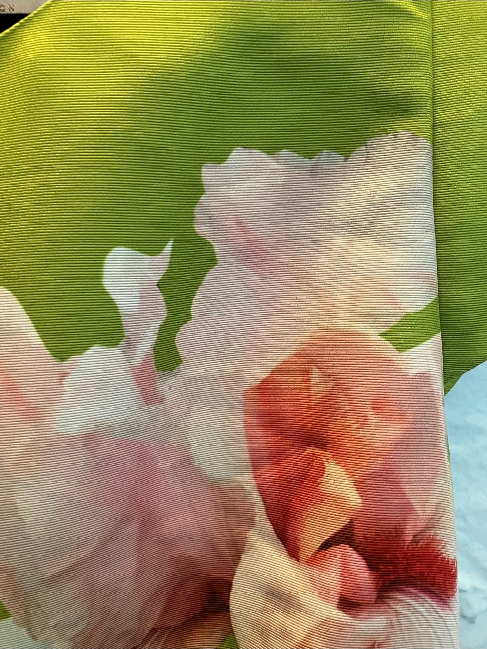 Floral Fit & Flare Dress in Lime Green by Ted Baker - Picture 3 of 6